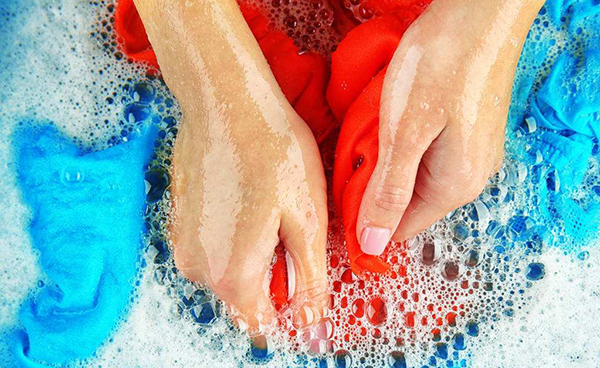 内衣里出现了虫子,内裤上突然发现有虫子