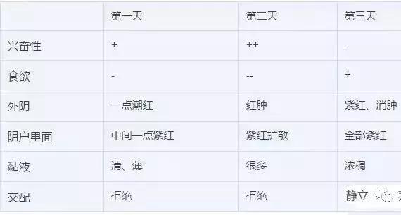 母猪断奶后第一次返情能配吗,母猪断奶不发情怎么办