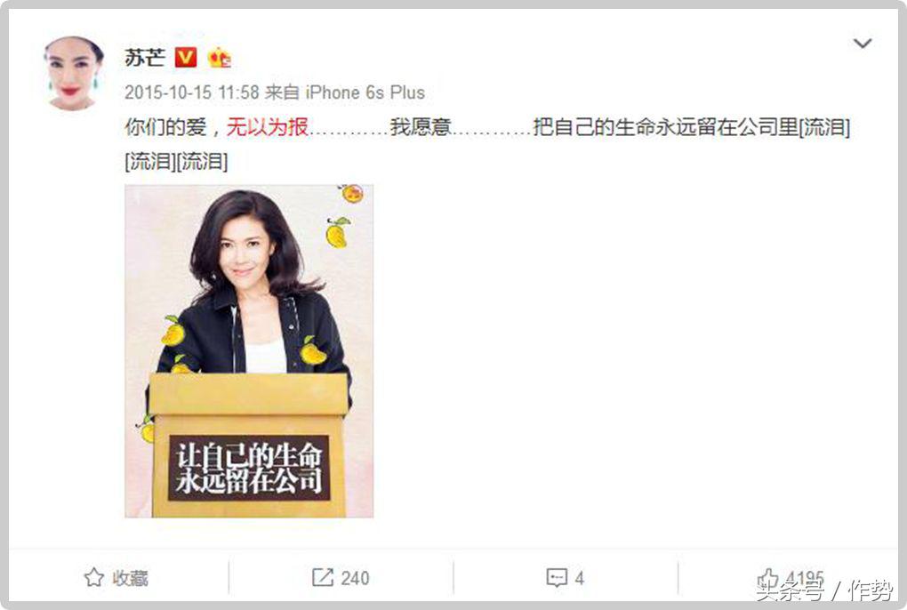 时尚女魔头苏芒为什么退出 (时尚女魔头苏芒是谁)