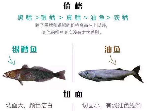 吃鱼最给宝宝补DHA，但哪些鱼最富含DHA又低汞？