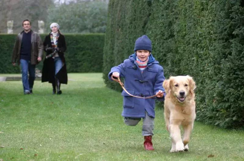 十大经典狗片排行榜国外,评价最高的十部关于狗的电影