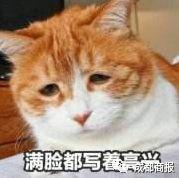 糖酒会2022年最大展会,中国最大的糖酒展览会在哪里