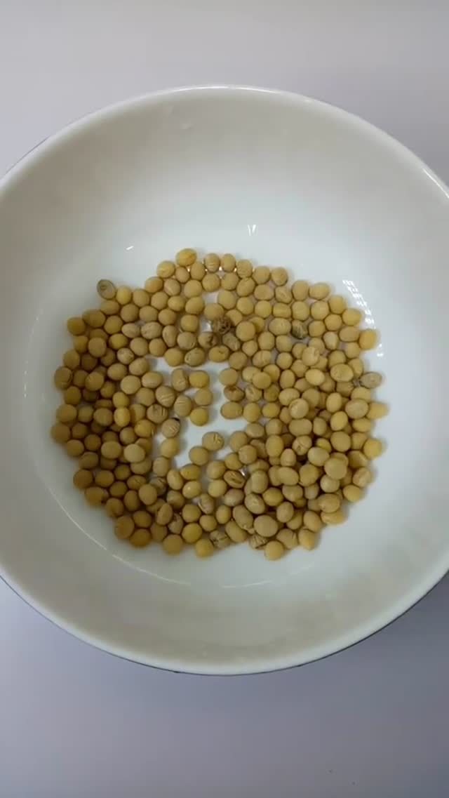 生豆芽怎么发芽最快最好,生豆芽最快最好方法