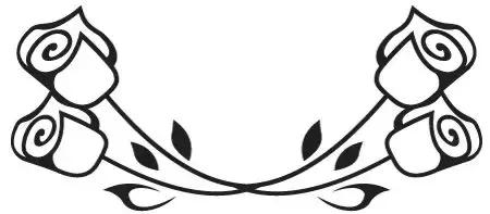 科玛旗下有哪些品牌,日本科玛原装进口