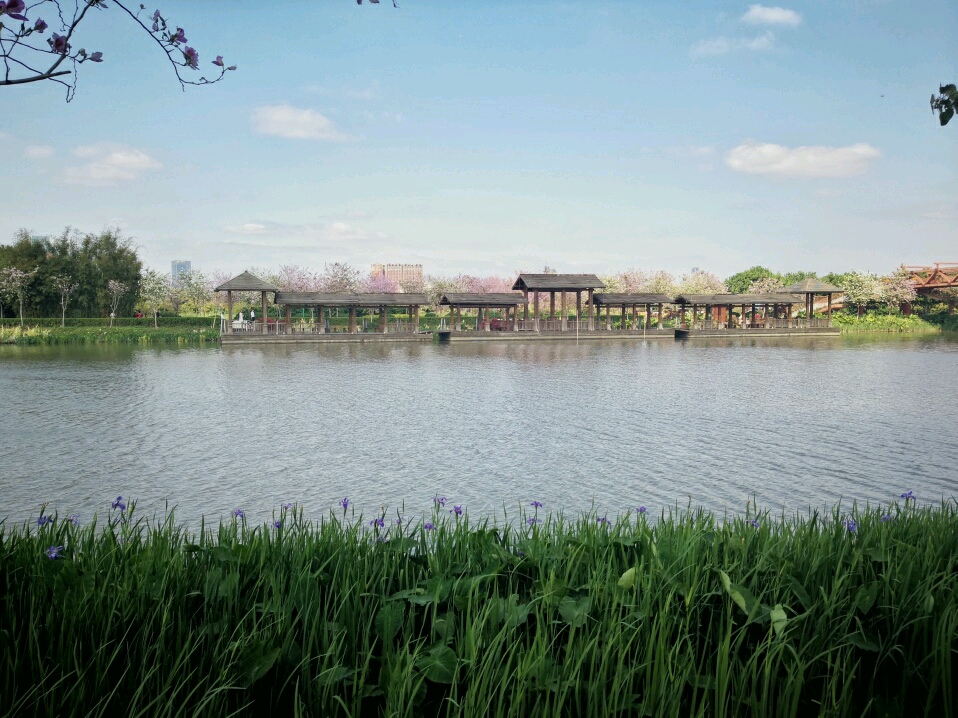 海珠湖国家湿地公园门票,海珠湖国家湿地公园西门