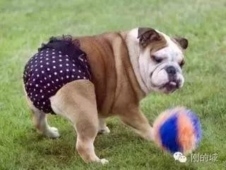 一条CK*裤内**引发的意外（亿万）伤害