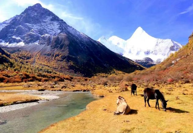 有家的地方心才不会流浪,有家的地方才安心