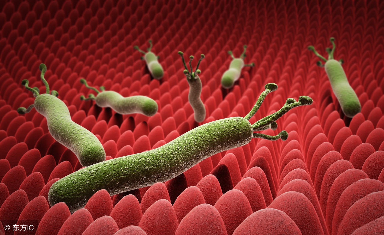 为什么小孩感染后不想吃饭,孩子为什么不爱吃饭哪出了问题