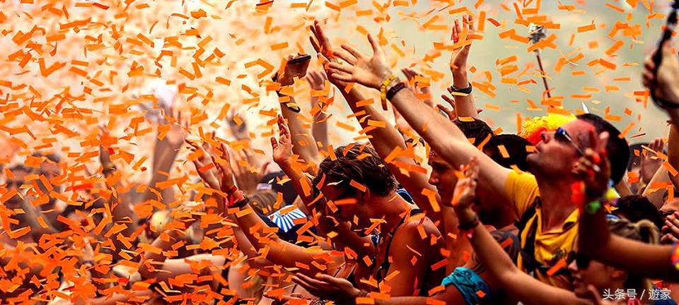 荷兰郁金香风光,维也纳冬天的花