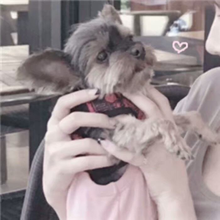 如何克服恋爱的累,如何克服恋爱3个月新鲜感