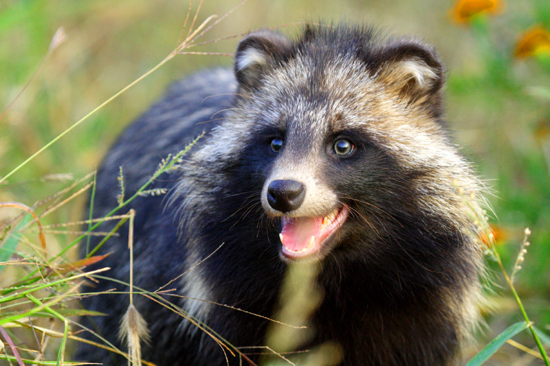 Supreme或与DG联名，KimJones加入Dior，上海时装周日程公布