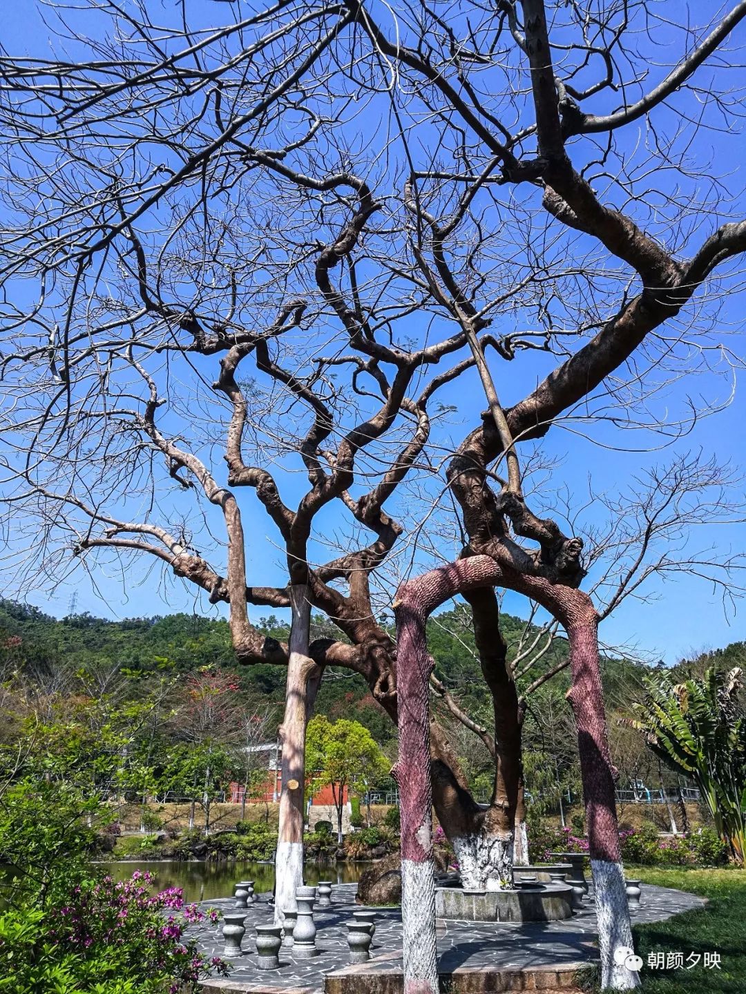 中山纪念中学100周年校庆,中山纪念中学80周年校庆