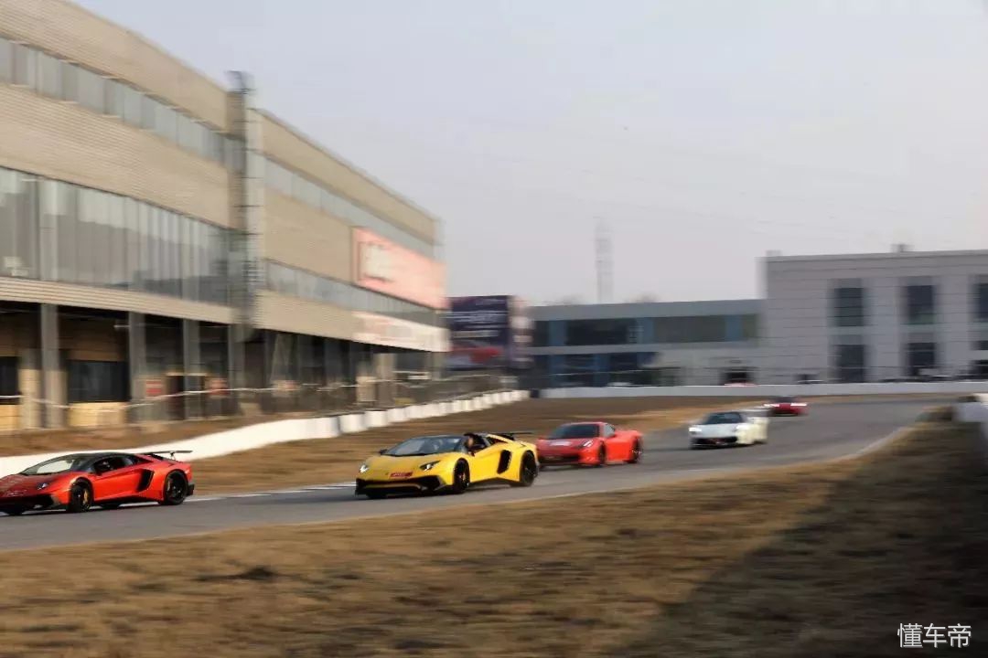 我和春天有个约会,我和春天有个约会阅读