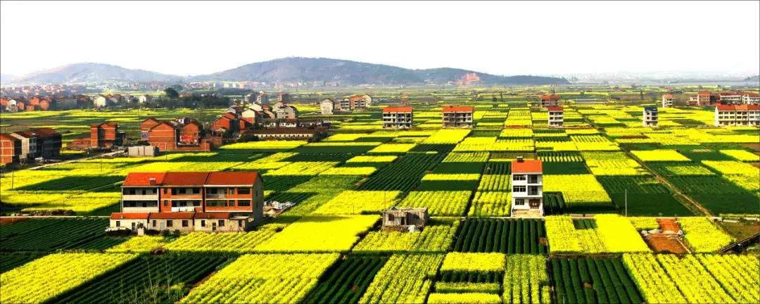 三年评先进,湖北表扬的10个县