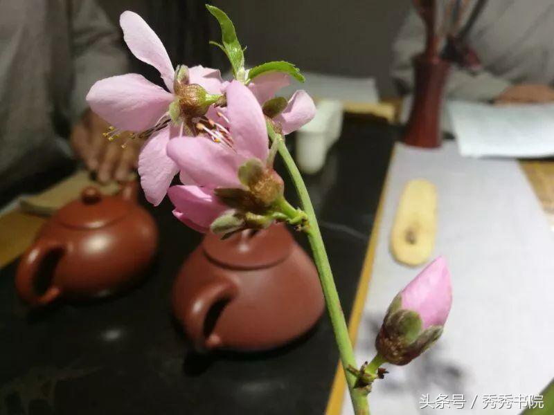 灵枢根结,黄帝内经灵枢根结全文