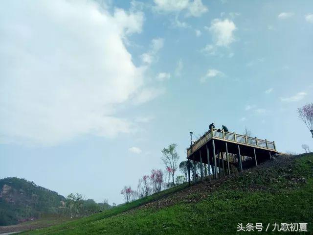 雅安桃花岛桃花开了没有,雅安桃花岛景区