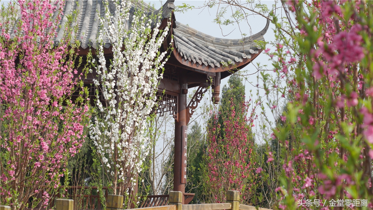 金堂玉皇山生态康养,金堂县玉皇养生谷详细介绍