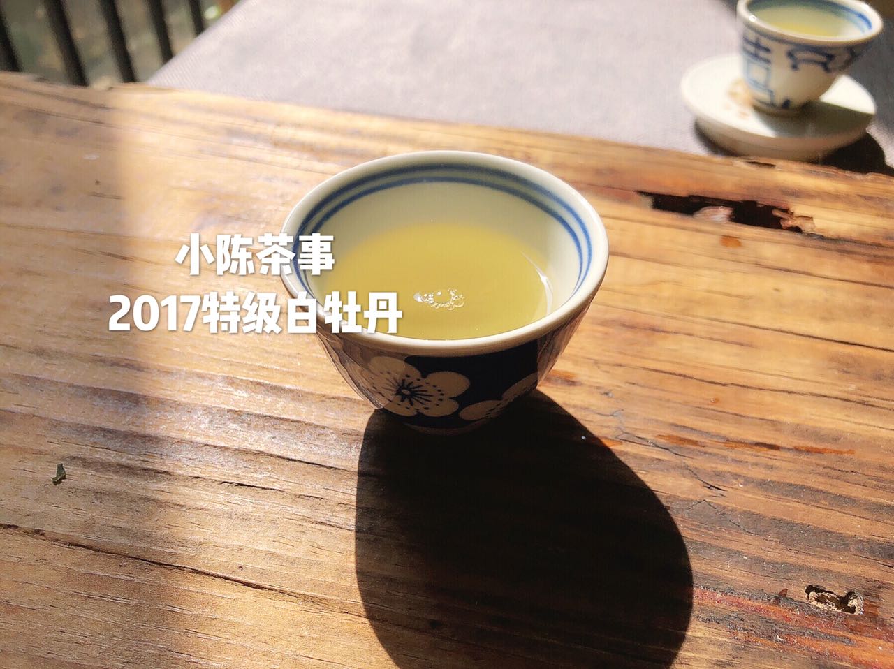 白茶有什么优劣,白茶是阴山茶好喝还是阳山茶好喝