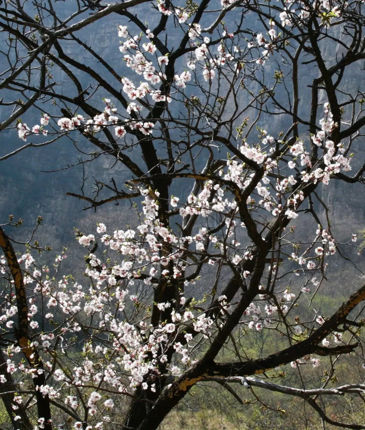易县云蒙山皇家森林公园附近爬山,易县周边适合带孩子爬山的地方
