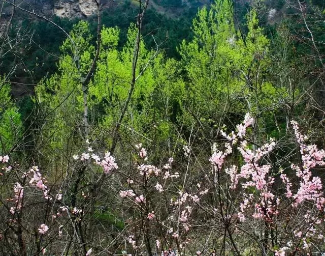 易县云蒙山皇家森林公园附近爬山,易县周边适合带孩子爬山的地方