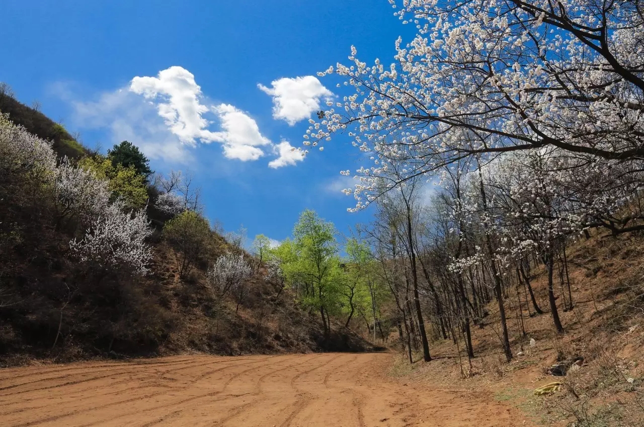 易县云蒙山皇家森林公园附近爬山,易县周边适合带孩子爬山的地方