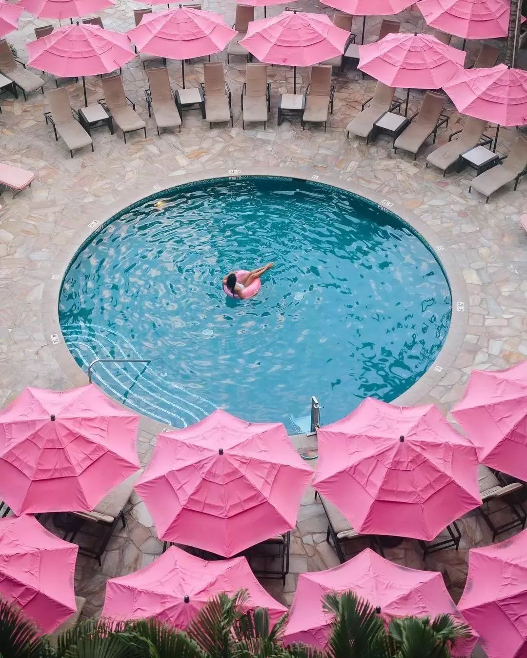 美到极致的粉色旅行,全球十大粉色景点