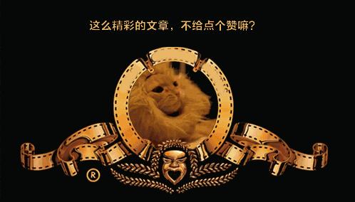 关于博美犬的习性,博美犬饲养照顾全攻略轻松掌握