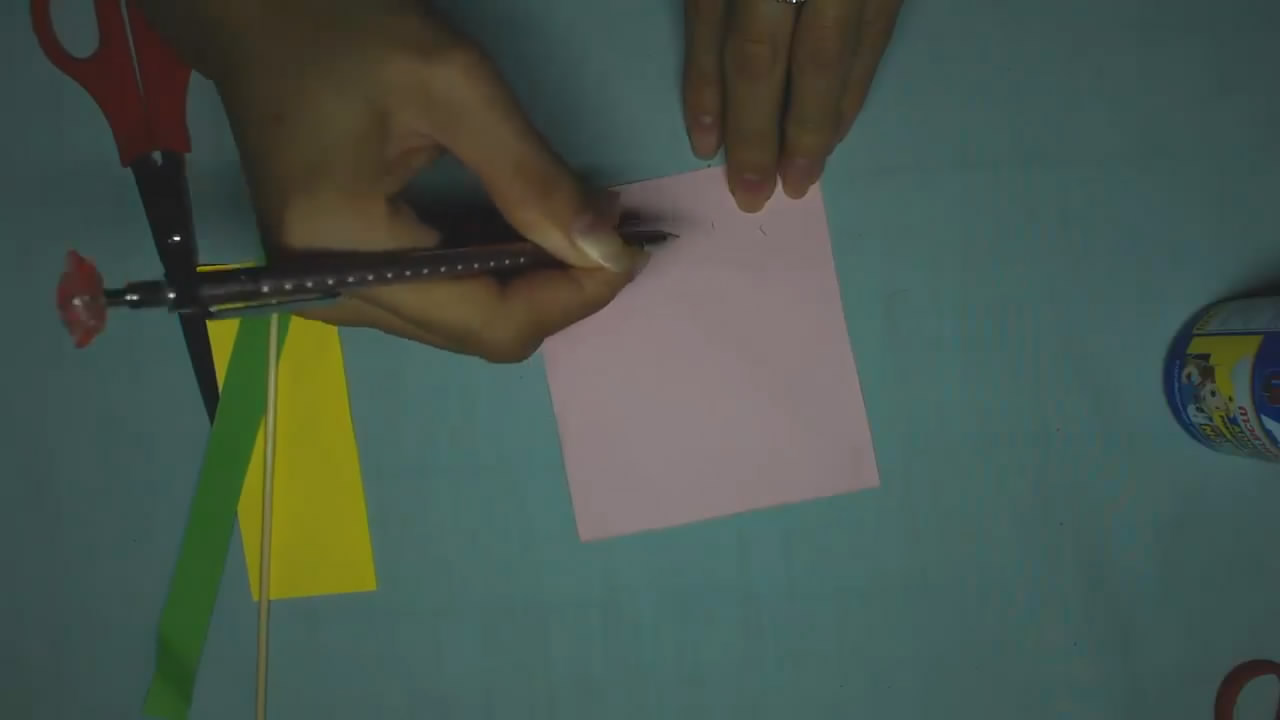 怎么让马蹄莲快速盛开,用简单的方法做一枝会开的莲花