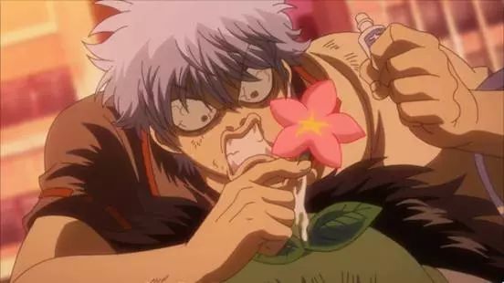 一月番剧排行榜热血,银魂人气排名篇