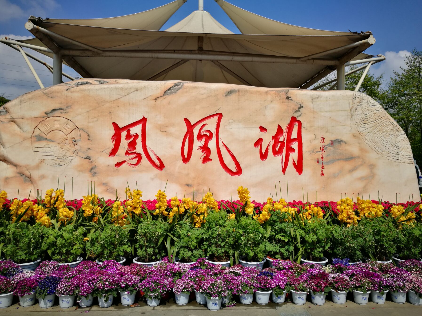 青白江凤凰湖樱花门票多少钱,青白江凤凰湖看樱花