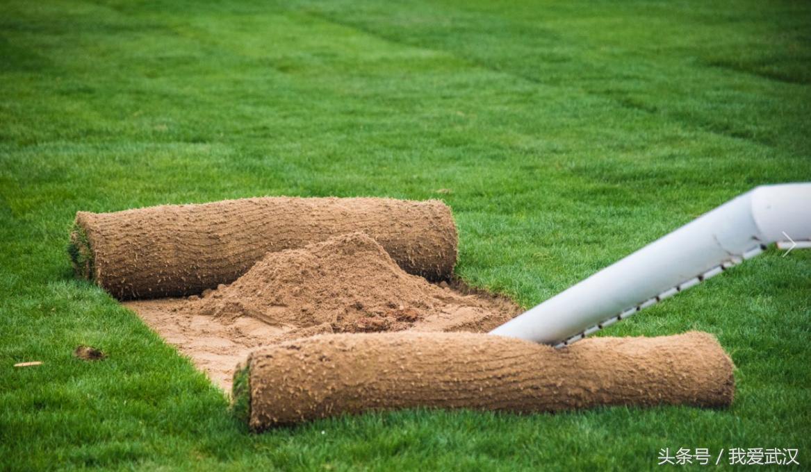 武汉地理经典影像大展路线,武汉卓尔主场航拍