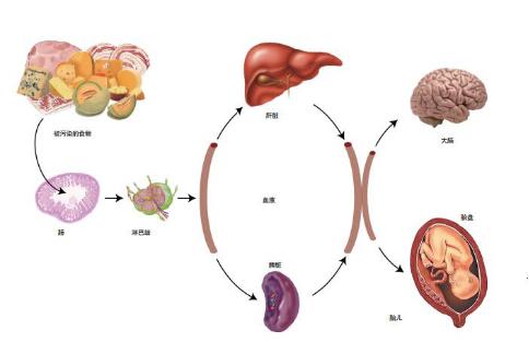 产科医生生四胞胎,协和一位产科医生的亲身经历