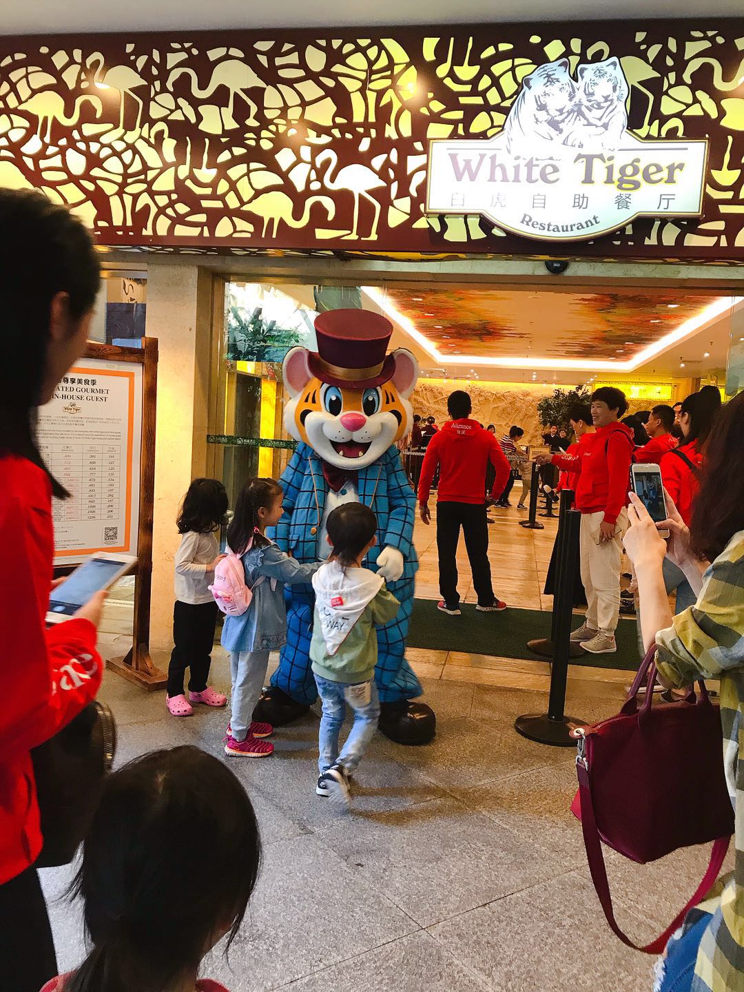 广州长隆野生动物园亲子游攻略,广州长隆野生动物园最全游玩攻略