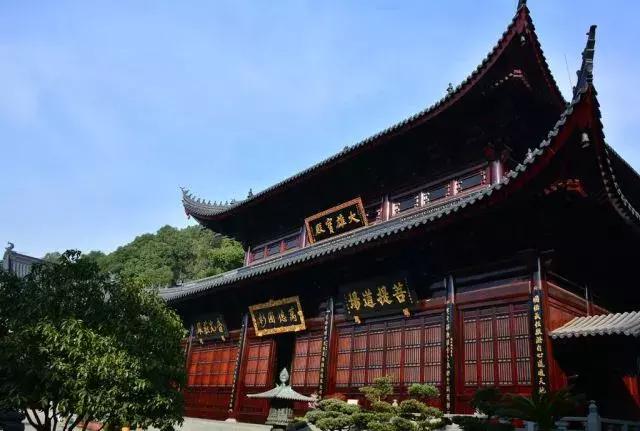 山东青岛胶州网红,胶州新网红