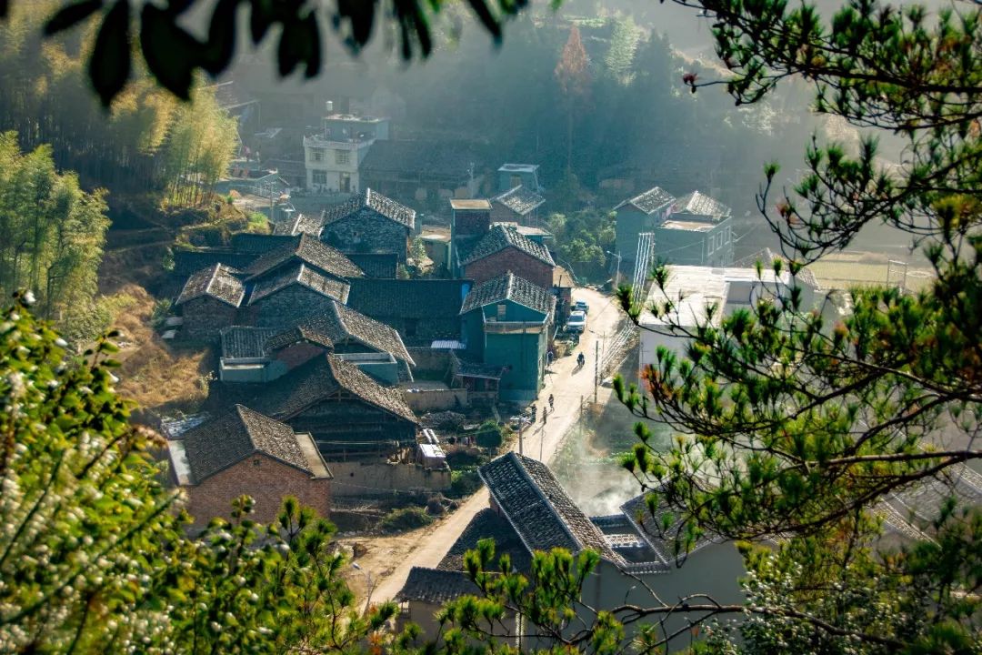 柘荣黄柏景点,柘荣黄柏村旅游攻略