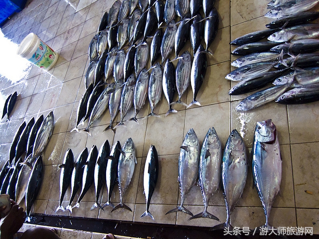 马尔代夫马累旅游攻略,马尔代夫首都马累有什么吃的