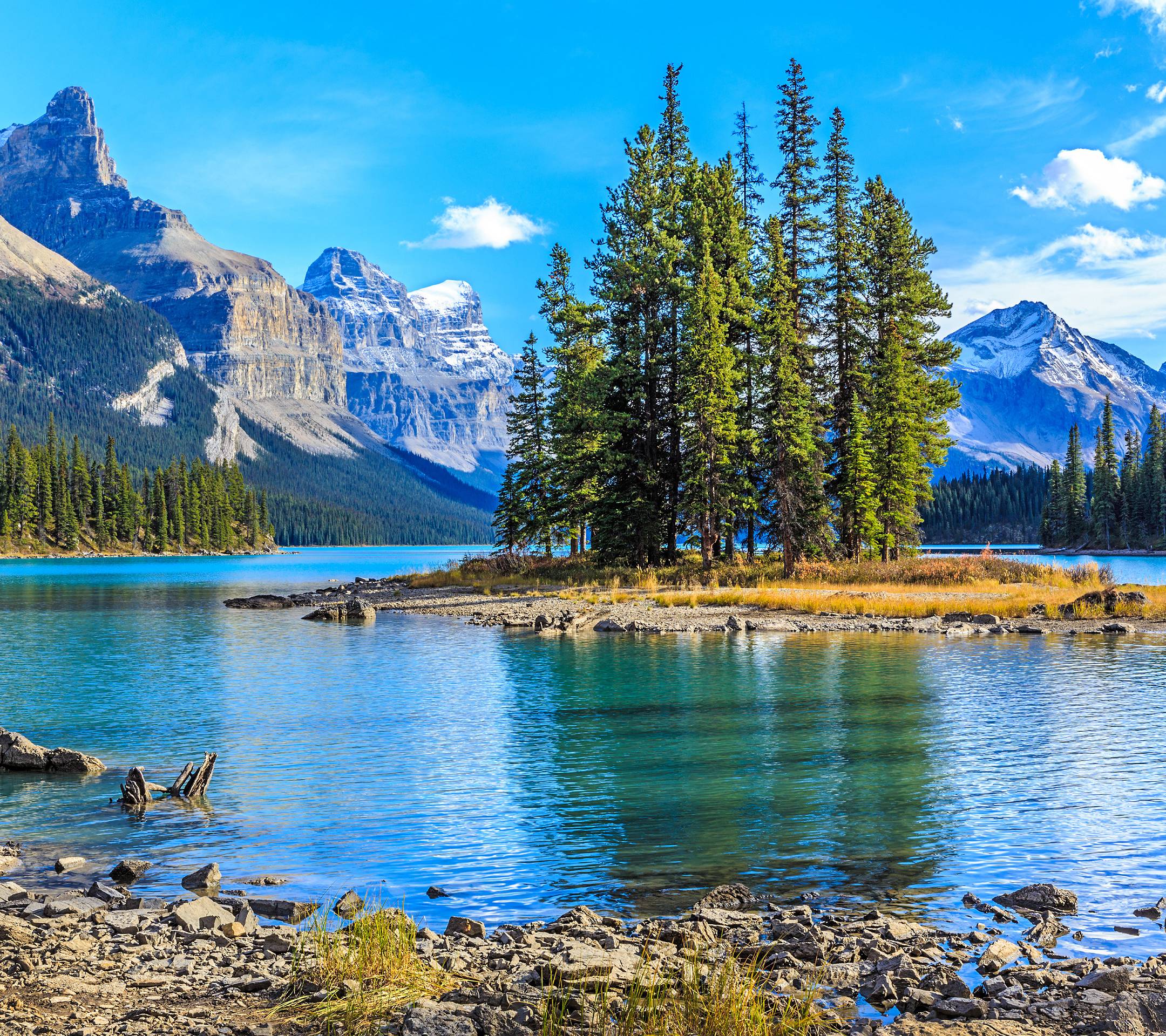 趣味测试测你是不是正常人,趣味测试你未来会跟谁结婚