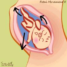孕期胎动看出宝宝性格吗,孕期产检你知道多少呢