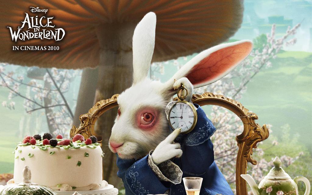 关于兔子的动画电影推荐,关于兔的16部电影