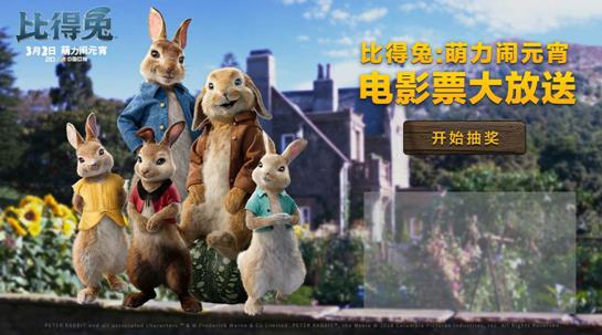 关于兔子的动画电影推荐,关于兔的16部电影