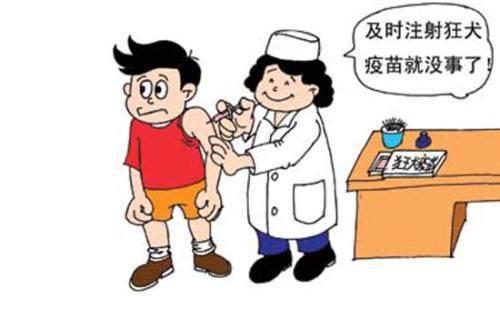 被猫抓狂犬病前兆有什么特征,被猫抓狂犬病早期的10个征兆