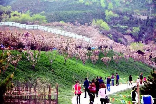 山西太原旅游四天攻略,太原出发摩旅太行山攻略