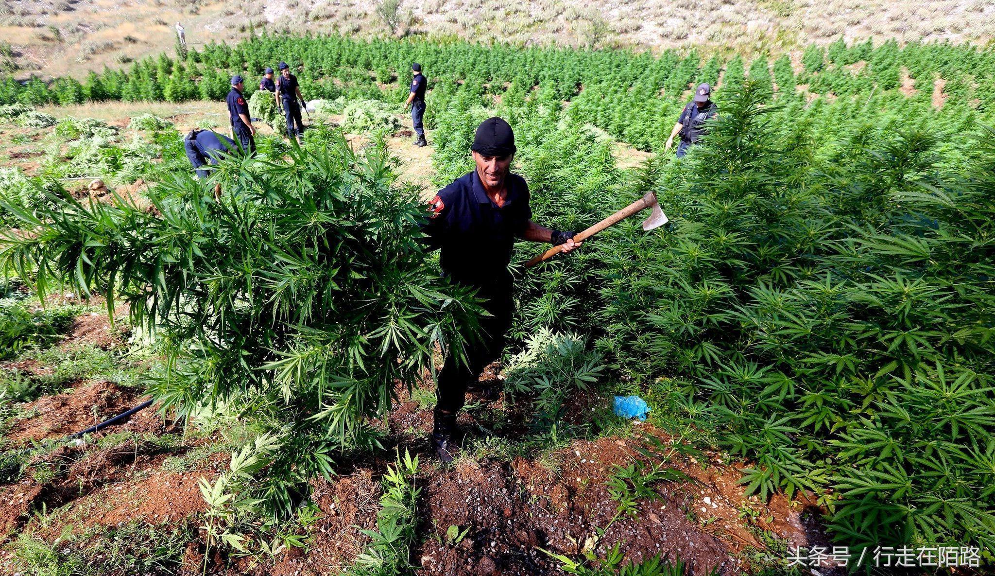 被免签国家拒绝入境的原因,被嫌弃的国家