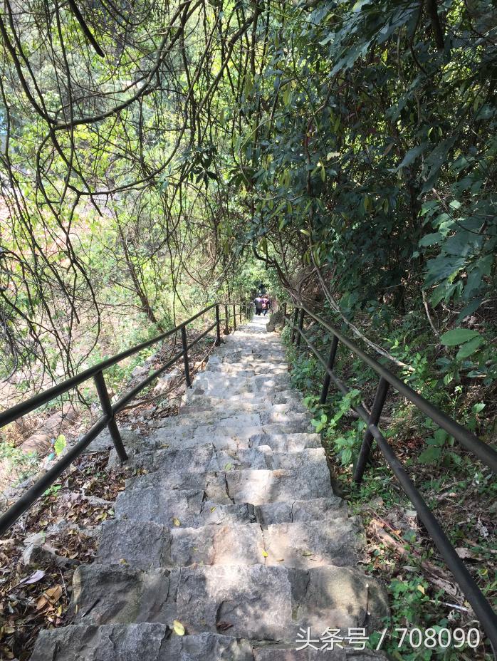 福州闽侯三叠井森林公园攻略,三叠井森林公园攻略