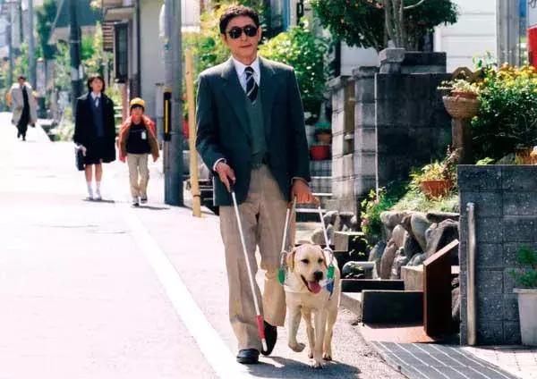 确认过的眼神是我想宠的人,确认过眼神是我想撩的灵魂