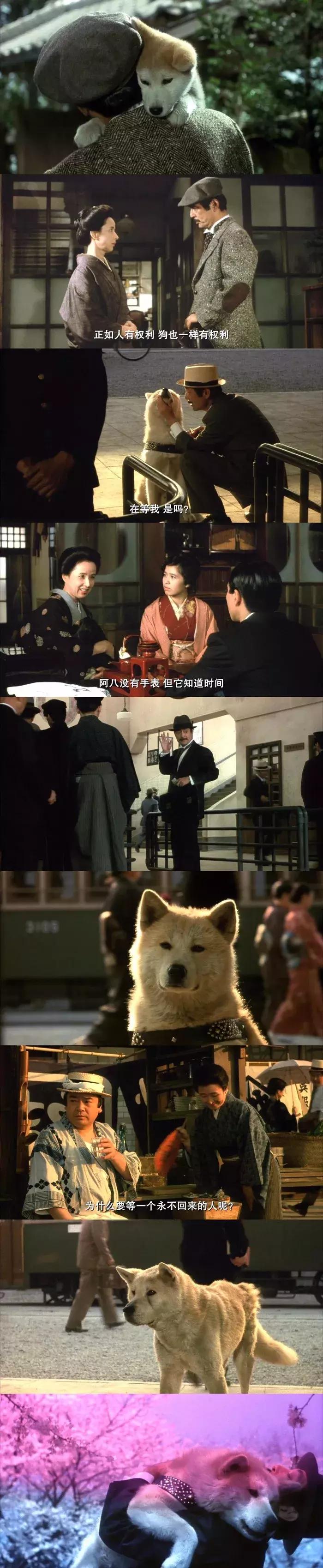 确认过的眼神是我想宠的人,确认过眼神是我想撩的灵魂