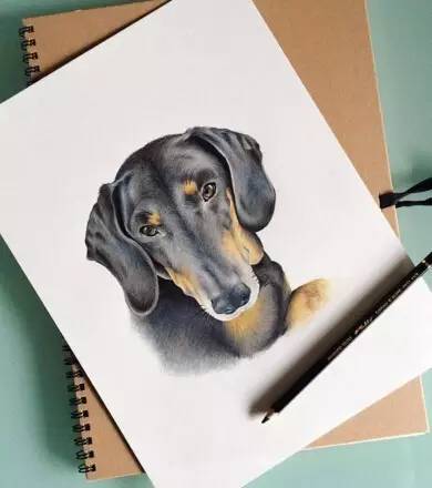 <html>
<head><title>502BadGateway</title></head>
<body>
<center><h1>502BadGateway</h1></center>
<hr><center>nginx</center>
</body>
</html>
<!--apaddingtodisableMSIEandChromefriendlyerrorpage-->
<!--apaddingtodisableMSIEandChromefriendlyerrorpage-->
<!--apaddingtodisableMSIEandChromefriendlyerrorpage-->
<!--apaddingtodisableMSIEandChromefriendlyerrorpage-->
<!--apaddingtodisableMSIEandChromefriendlyerrorpage-->
<!--apaddingtodisableMSIEandChromefriendlyerrorpage-->
