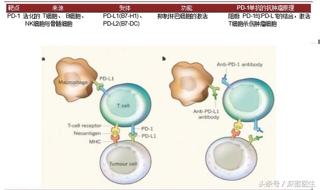 恶性黑色素瘤等于死亡?心酸和无奈,他是怎样维持了一年又一年