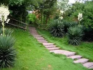 深圳仙湖植物园清明踏青赏花,深圳2022清明能去旅游吗