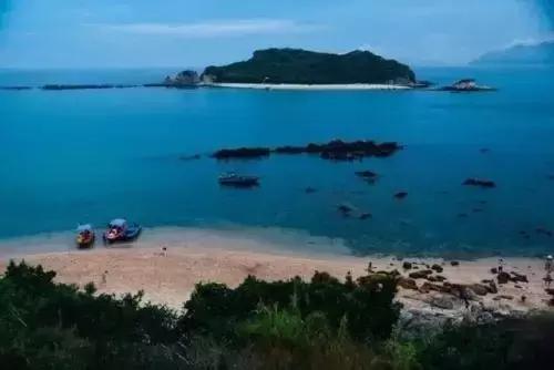 深圳仙湖植物园清明踏青赏花,深圳2022清明能去旅游吗